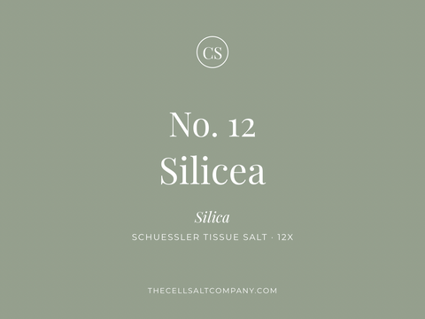 Silicea (12) - Hair • Skin • Nails