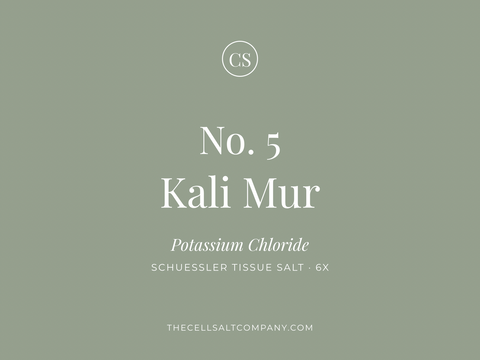 Kali Mur (5) - Congestion • Ears • Mucus