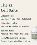 The 12 cell salts in Daily Blend: calcium, potassium, sodium salts, Ferrum Phos, Mag Phos and Silicea