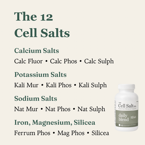 The 12 cell salts in Daily Blend: calcium, potassium, sodium salts, Ferrum Phos, Mag Phos and Silicea